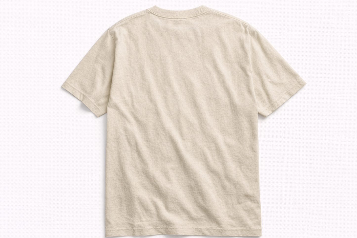Earned Daily Tee
